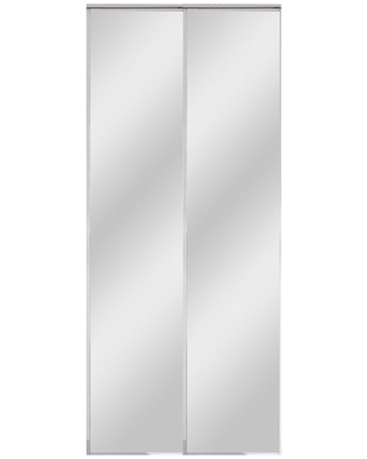 Mirrored Bifold Door